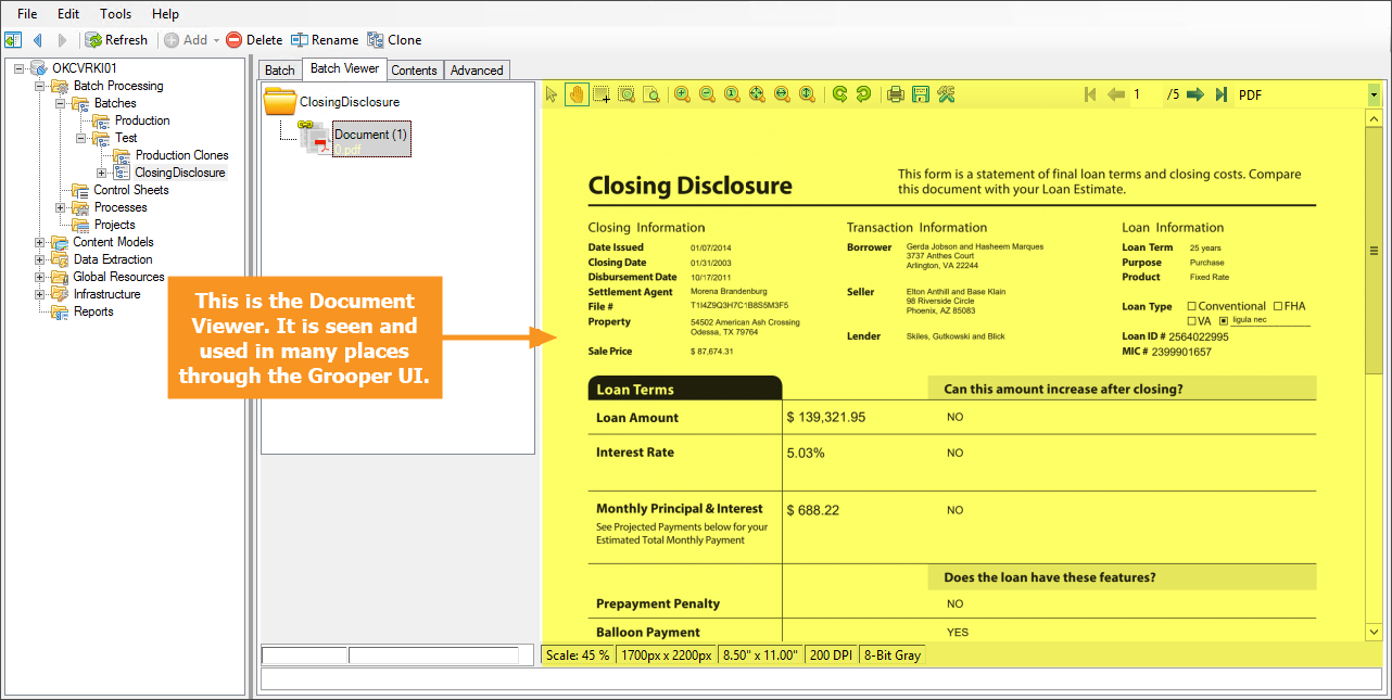 This is an example image of the Document Viewer in Grooper.