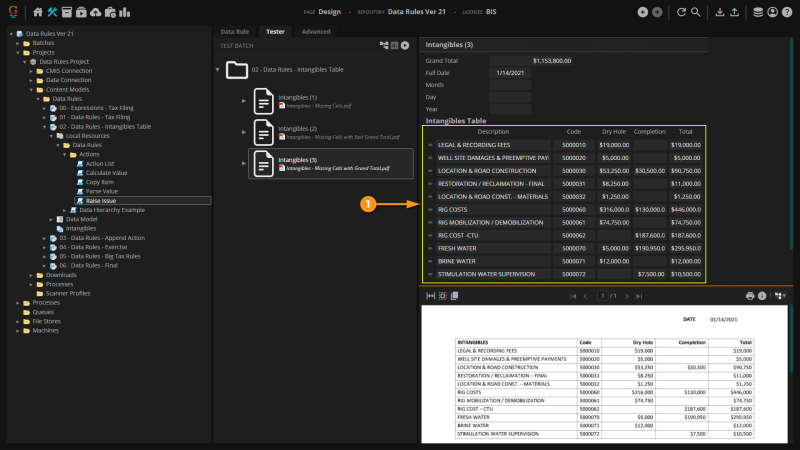 File:Data Rules Actions - Raise Issue 01.png