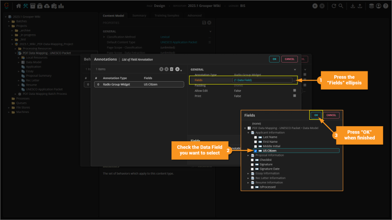 File:2023.1 PDF-Data-Mapping 03 04 01 Radio-Group-Widget-01.png