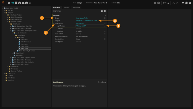 File:Data Rules Actions - Raise Issue 03.png