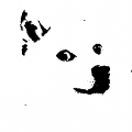 Thumbnail for version as of 09:35, 13 December 2019