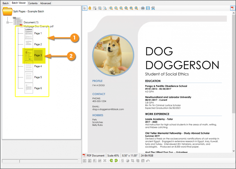 File:Split-pages-about-03.png