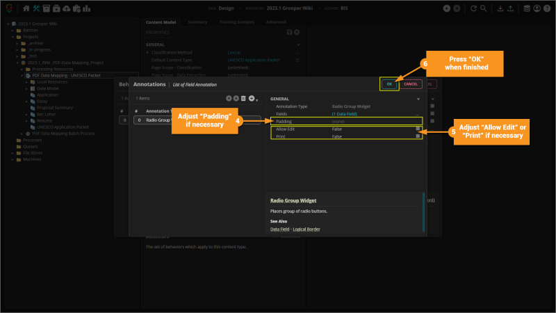 File:2023.1 PDF-Data-Mapping 03 04 01 Radio-Group-Widget-02.png